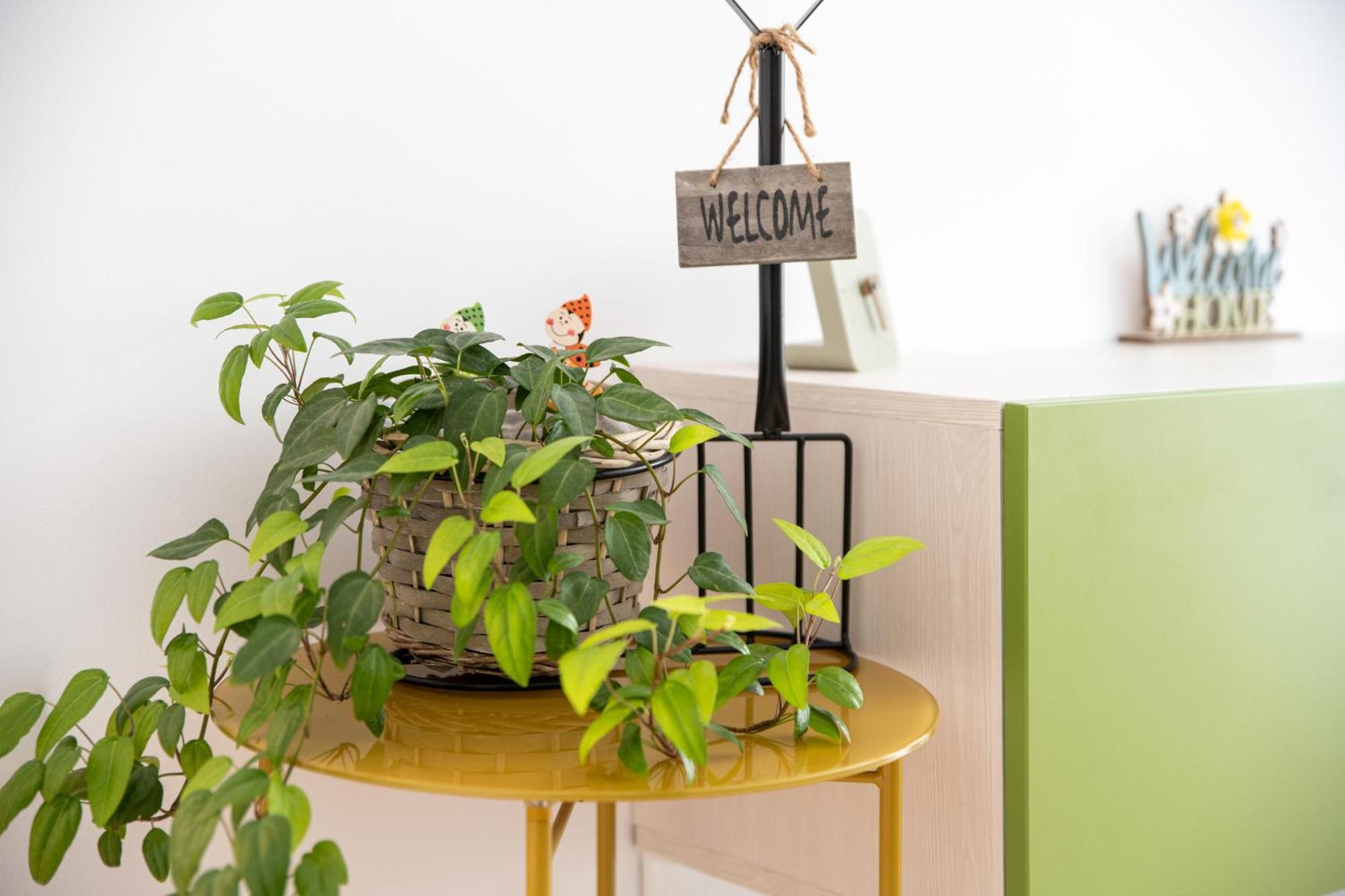 Springhome - Cozy Apartment With Balcony & Parking Brasov Exterior photo