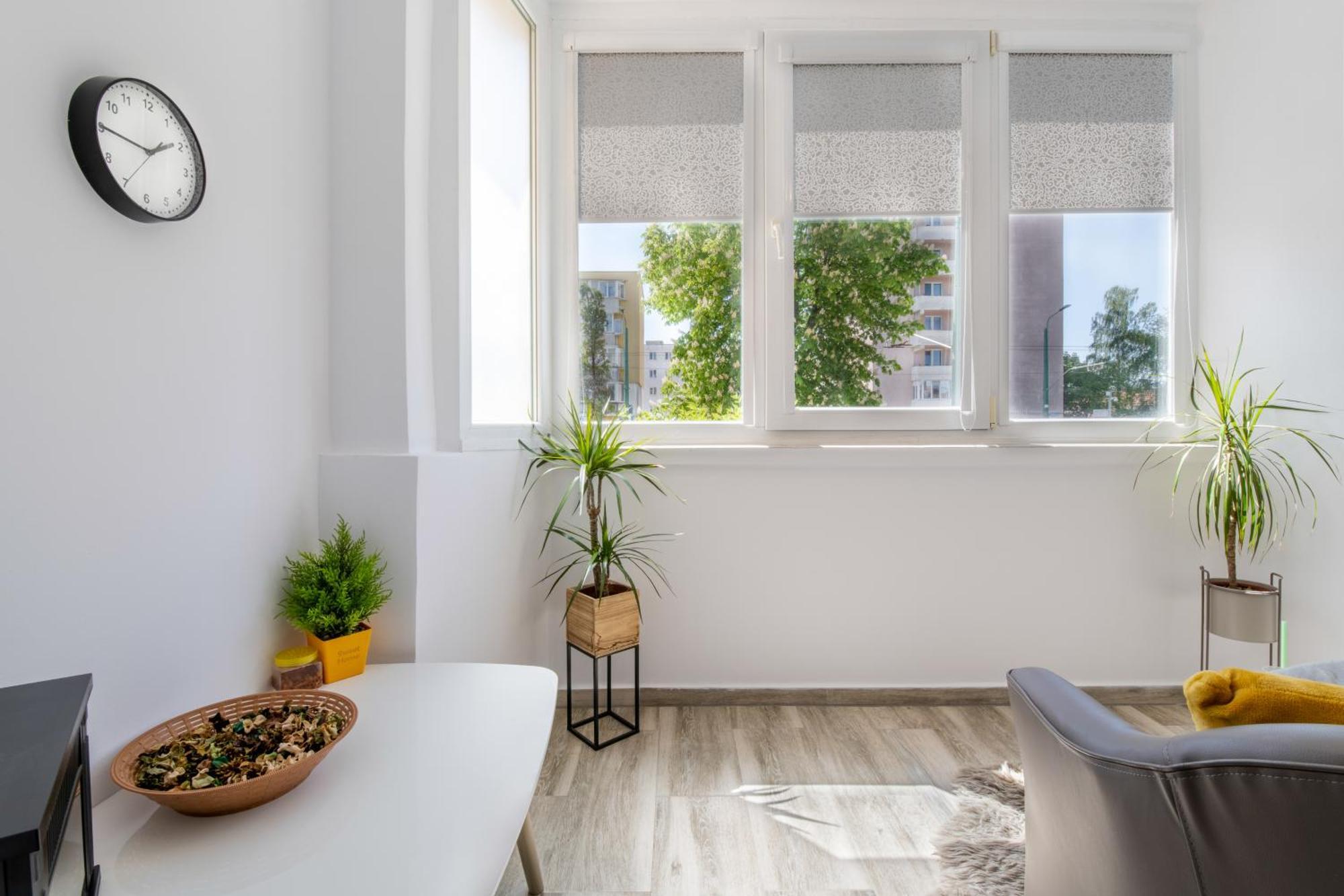 Springhome - Cozy Apartment With Balcony & Parking Brasov Exterior photo